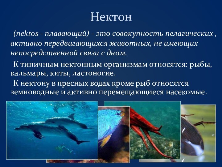 Нектон 	(nektos - плавающий) - это совокупность пелагических , активно передвигающихся животных,
