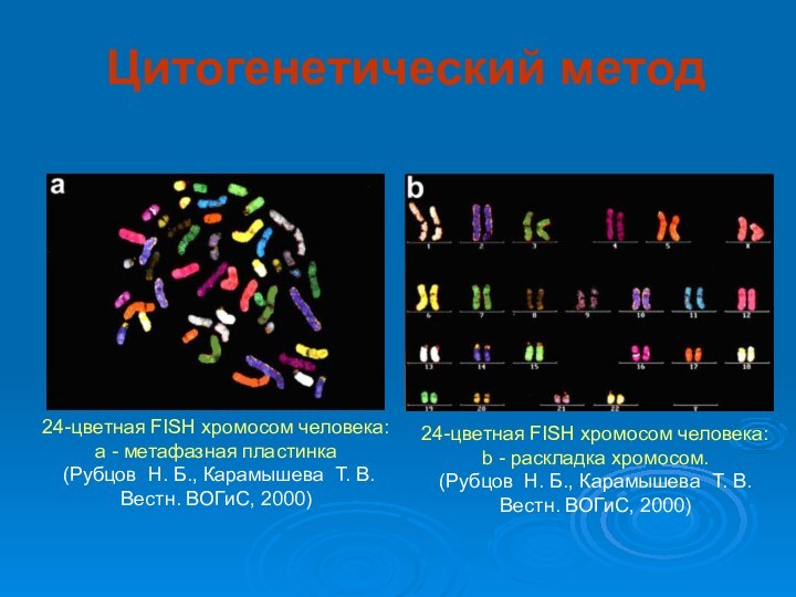 24-цветная FISH хромосом человека:  a - метафазная пластинка   (Рубцов 