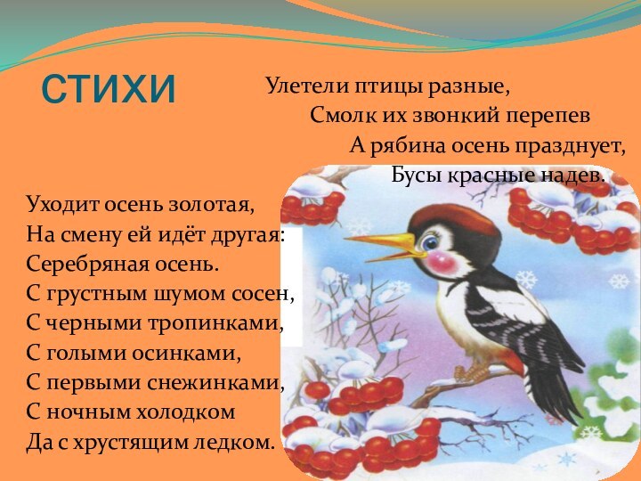 стихи          Улетели птицы