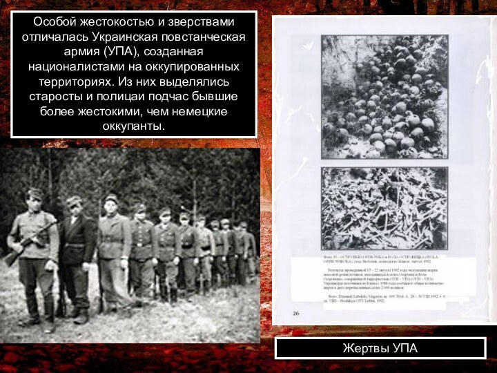Особой жестокостью и зверствами отличалась Украинская повстанческая армия (УПА), созданная националистами на