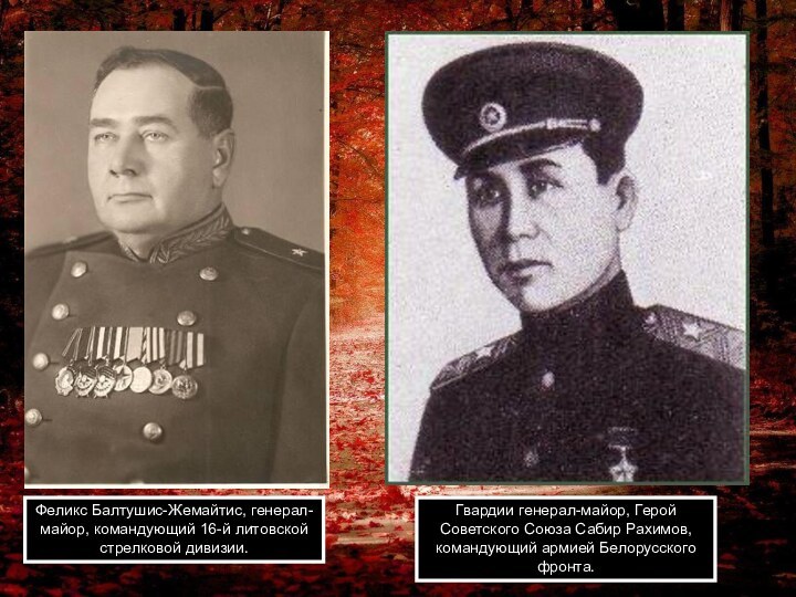 Феликс Балтушис-Жемайтис, генерал-майор, командующий 16-й литовской стрелковой дивизии.Гвардии генерал-майор, Герой Советского