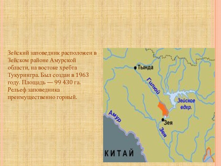 Зейский заповедник расположен в Зейском районе Амурской области, на востоке хребта Тукурингра.