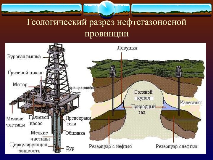 Геологический разрез нефтегазоносной провинции