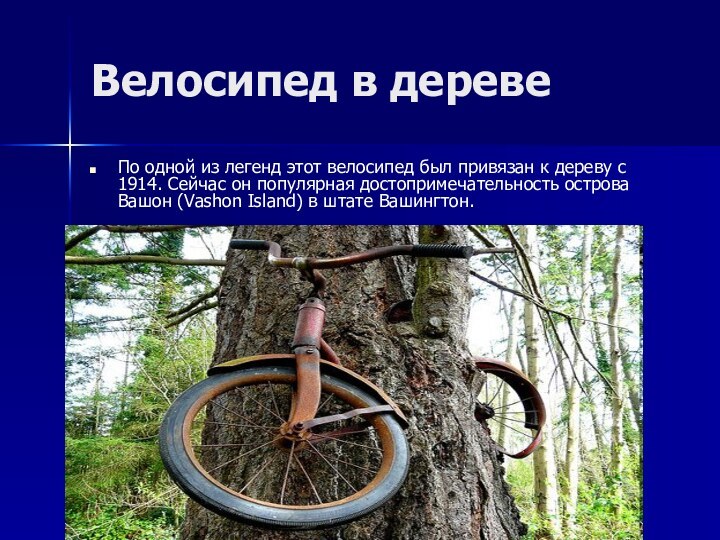 Велосипед в деревеПо одной из легенд этот велосипед был привязан к