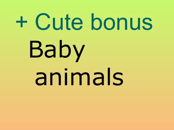 + Cute bonusBaby animals