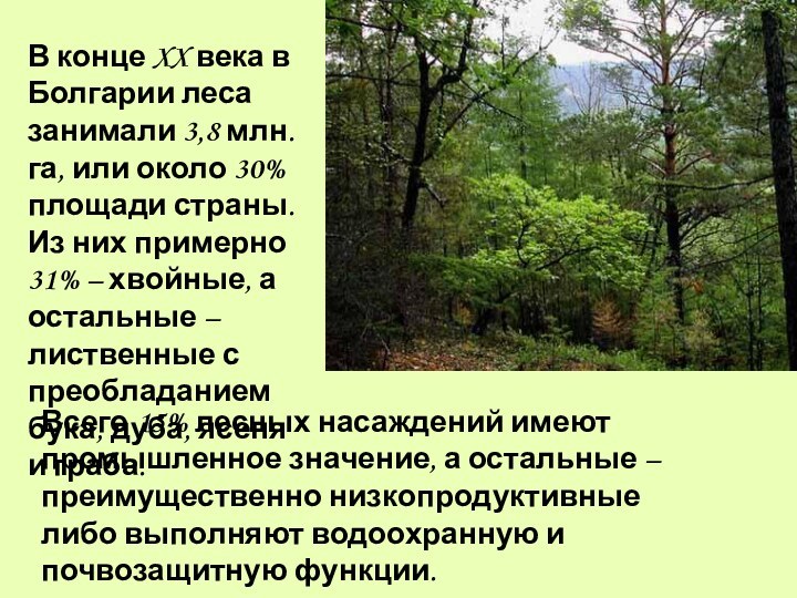 В конце XX века в Болгарии леса занимали 3,8 млн. га, или