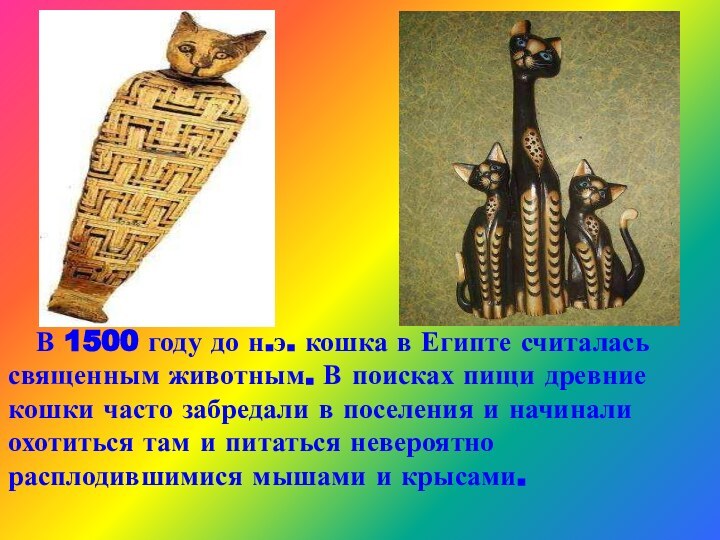 В 1500 году до н.э. кошка в Египте считалась