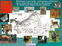 Красная книга в Саратовской области