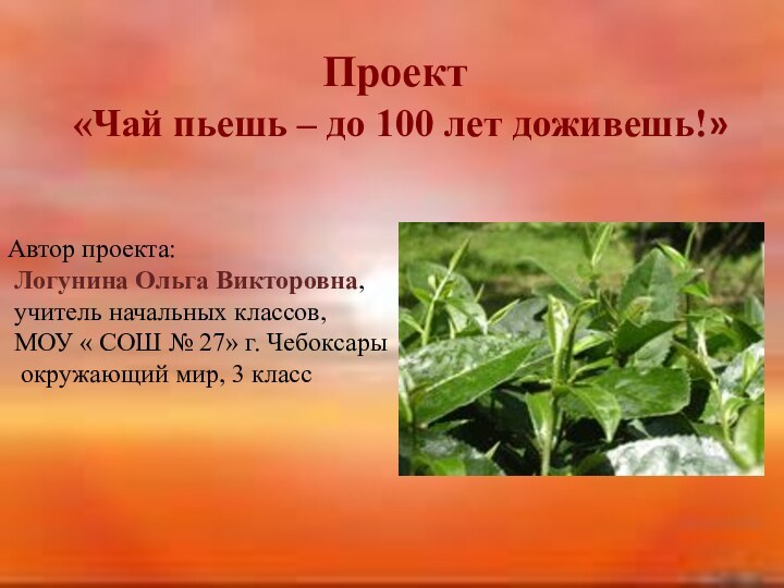 Проект   «Чай пьешь – до 100 лет доживешь!»Автор проекта: Логунина