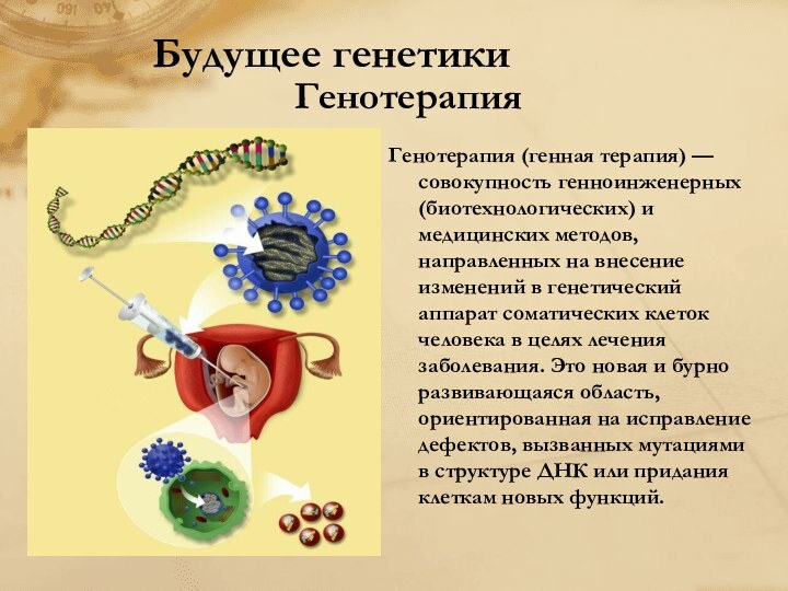 Будущее генетики    				Генотерапия  Генотерапия (генная