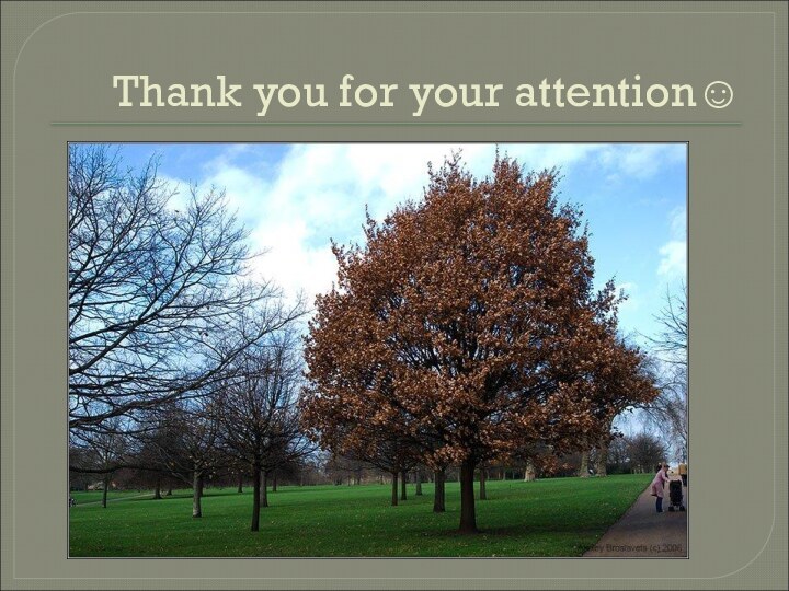 Thank you for your attention☺