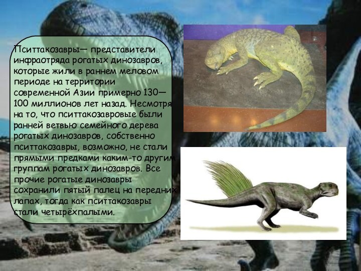 Пситтакозавры— представители инфраотряда рогатых динозавров, которые жили в раннем меловом периоде на