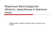 Животные Волгоградской области, занесённые в Красную книгу