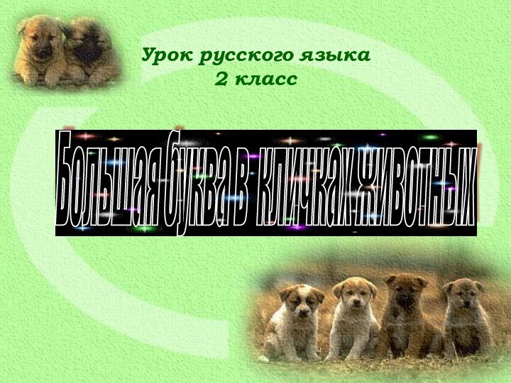 Большая буква в кличках животных Урок русского языка2 класс