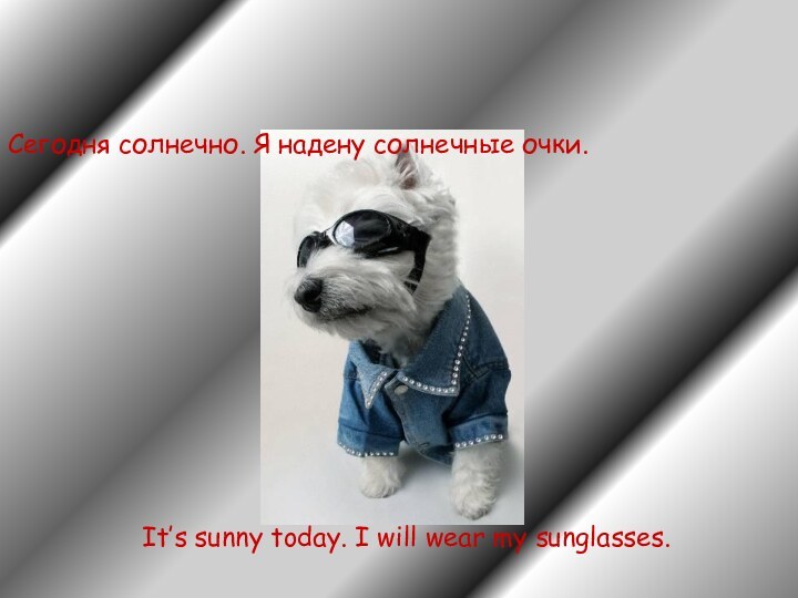 Сегодня солнечно. Я надену солнечные очки. It’s sunny today. I will wear my sunglasses.