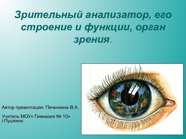 Зрительный анализатор, его строение и функции, орган зрения.
