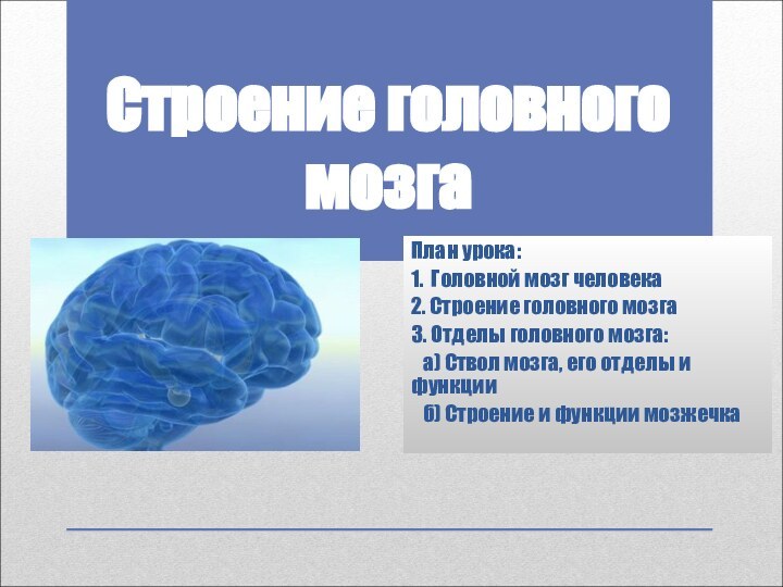Строение головного мозгаПлан урока:1. Головной мозг человека2. Строение головного мозга3. Отделы головного
