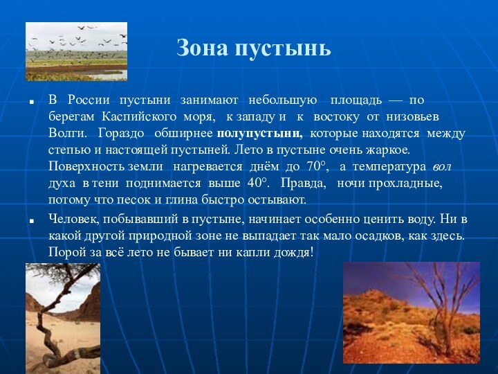 Зона пустыньВ  России  пустыни  занимают  небольшую