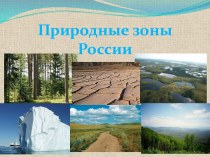 Характеристика природных зон России