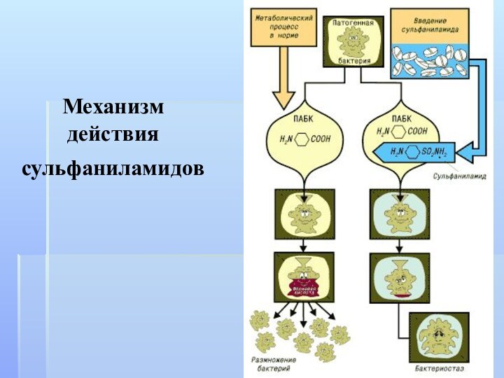 Механизм действия сульфаниламидов