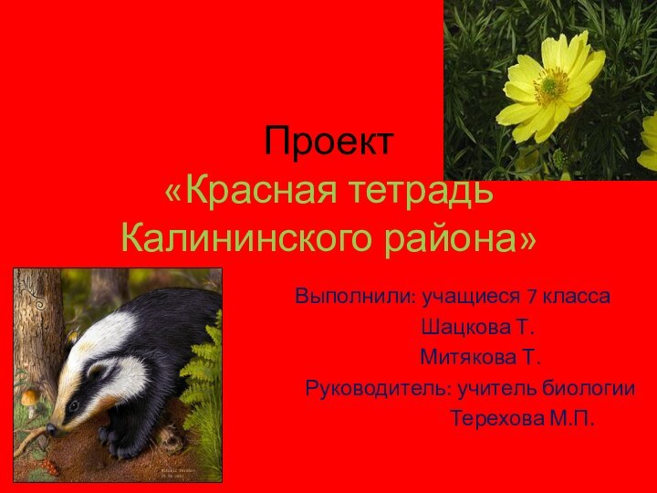 Проект  «Красная тетрадь Калининского района»