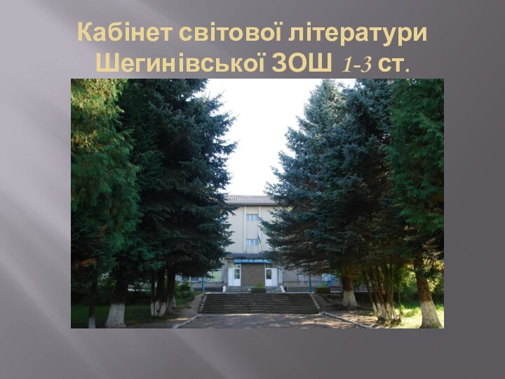 Кабінет світової літератури  Шегинівської ЗОШ 1-3 ст.