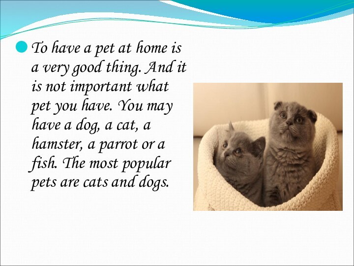 To have a pet at home is a very good thing. And