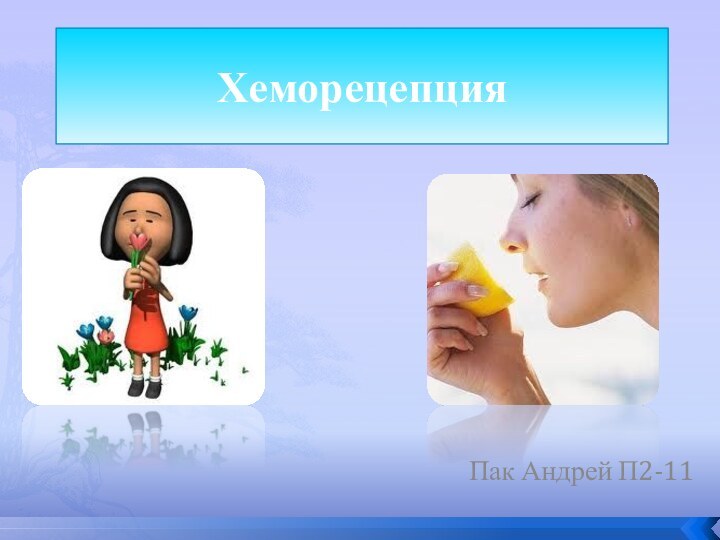 ХеморецепцияПак Андрей П2-11