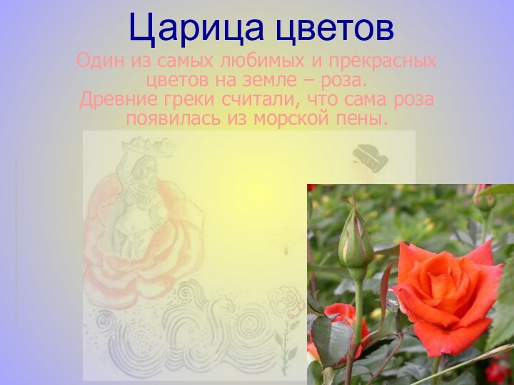 Царица цветовОдин из самых любимых и прекрасных  цветов на земле – роза.