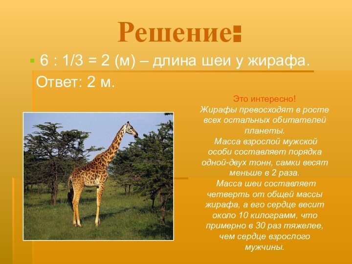 Решение:6 : 1/3 = 2 (м) – длина шеи у жирафа. Ответ: 2 м.Это