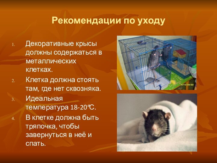 Рекомендации по уходуДекоративные крысы должны содержаться в металлических клетках.Клетка должна стоять