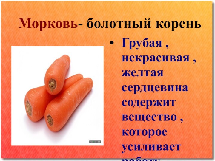 Морковь- болотный кореньГрубая , некрасивая , желтая сердцевина содержит вещество ,которое усиливает работу сердечной