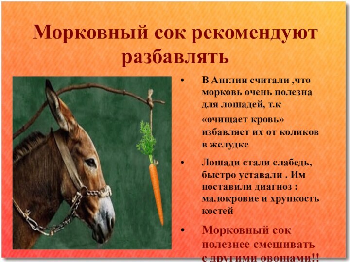 Морковный сок рекомендуют разбавлятьВ Англии считали ,что морковь очень полезна для лошадей, т.к «очищает