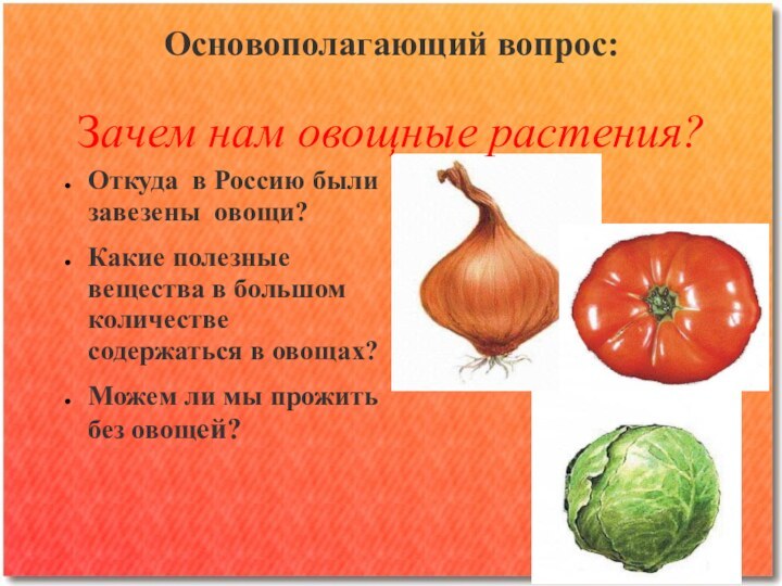 Основополагающий вопрос:  Зачем нам овощные растения?Откуда в Россию были завезены овощи?Какие полезные вещества