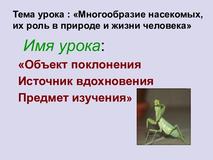 Тема урока : «Многообразие насекомых, их роль в природе и жизни человека» Имя урока: