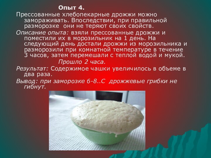 Опыт 4.Прессованные хлебопекарные дрожжи можно замораживать. Впоследствии, при правильной разморозке они не теряют своих