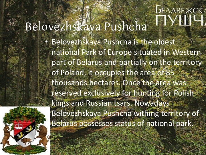 Belovezhskaya PushchaBelovezhskaya Pushcha is the oldest national Park of Europe situated in Western part
