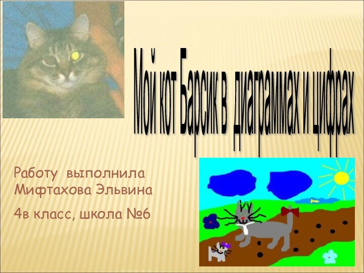 Мой кот Барсик в диаграммах и цифрах Работу выполнила Мифтахова Эльвина4в класс, школа №6