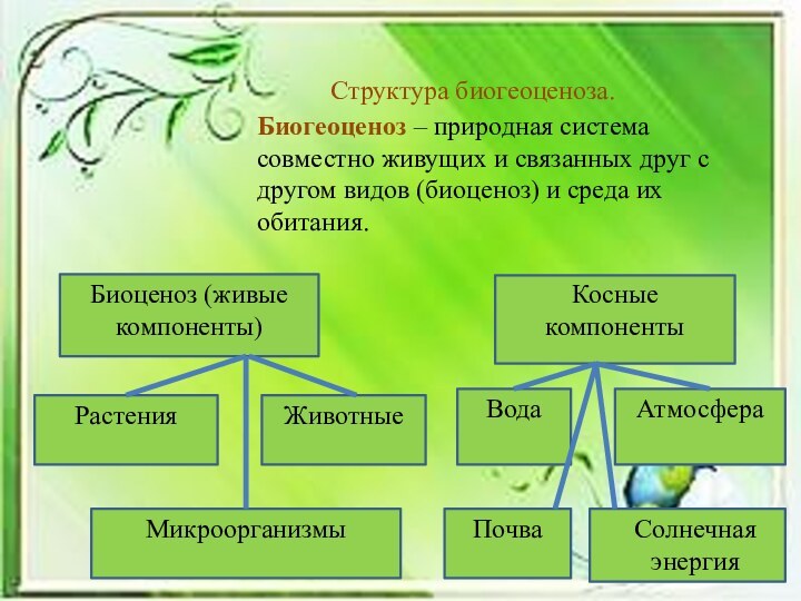 Биогеоценоз – природная система совместно живущих и связанных друг с другом видов (биоценоз) и