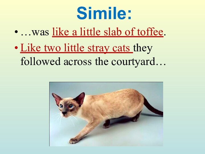 Simile:…was like a little slab of toffee.Like two little stray cats they followed across the courtyard…
