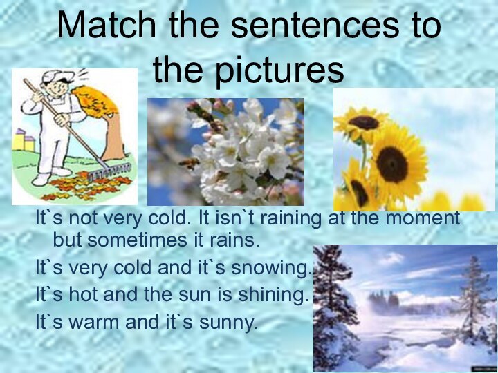 Match the sentences to the pictures					       s