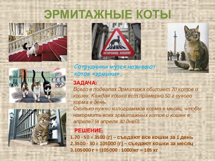 ЭРМИТАЖНЫЕ КОТЫСотрудники музея называют котов «эрмики».ЗАДАЧА:Всего в подвалах Эрмитажа обитает 70 котов и кошек.