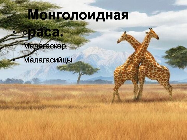 Монголоидная раса.о. Мадагаскар.Малагасийцы.