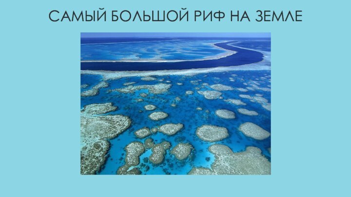 Самый большой риф на Земле