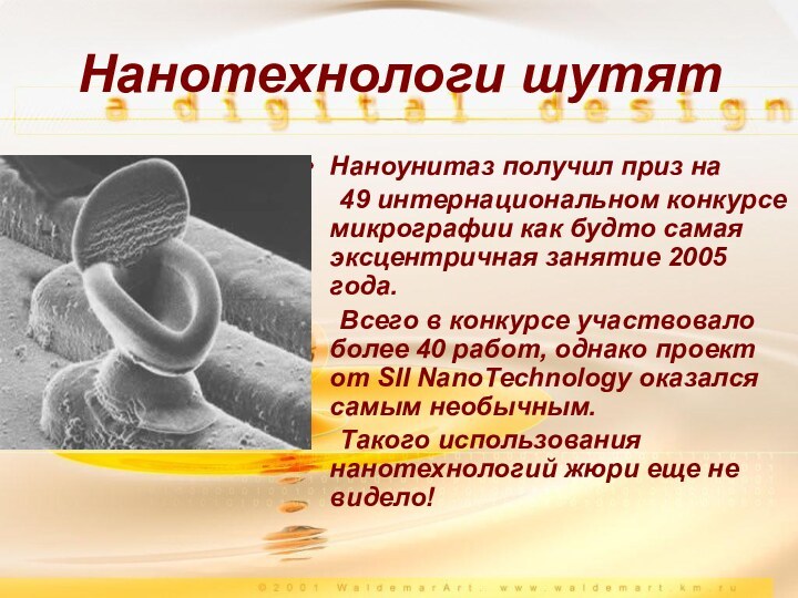 Наноунитаз получил приз на 	49 интернациональном конкурсе микрографии как будто самая эксцентричная занятие 2005