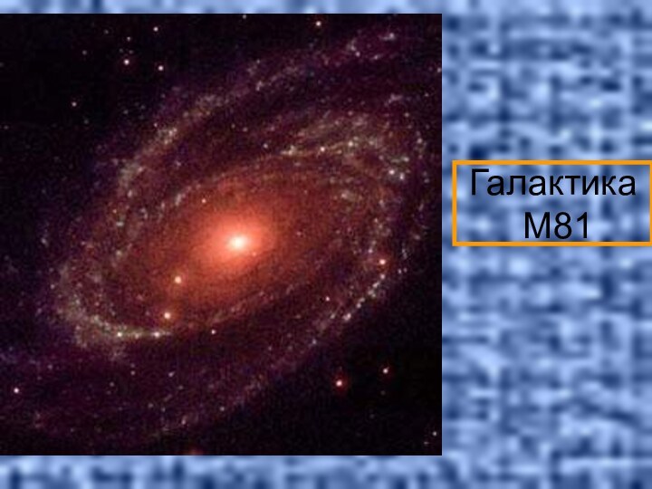 Галактика  М81