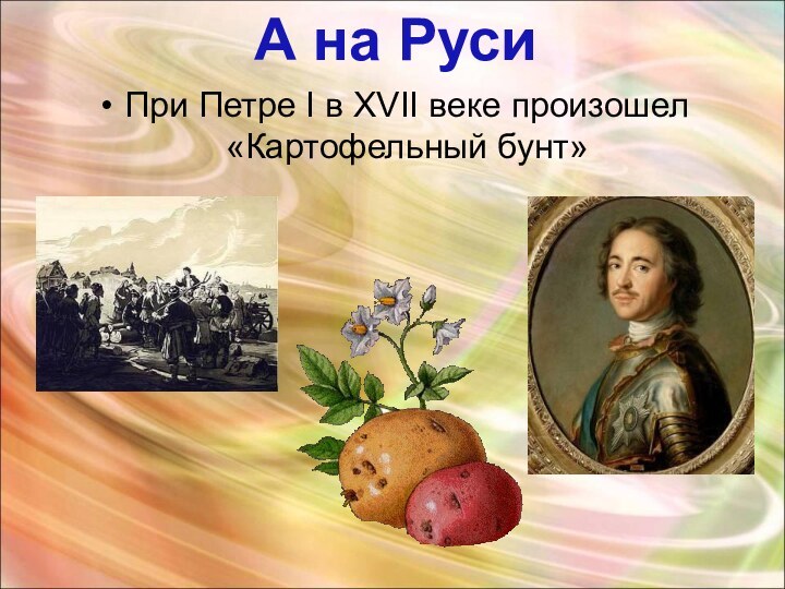 А на РусиПри Петре I в XVII веке произошел «Картофельный бунт»
