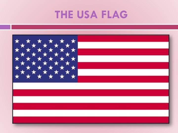 THE USA FLAG