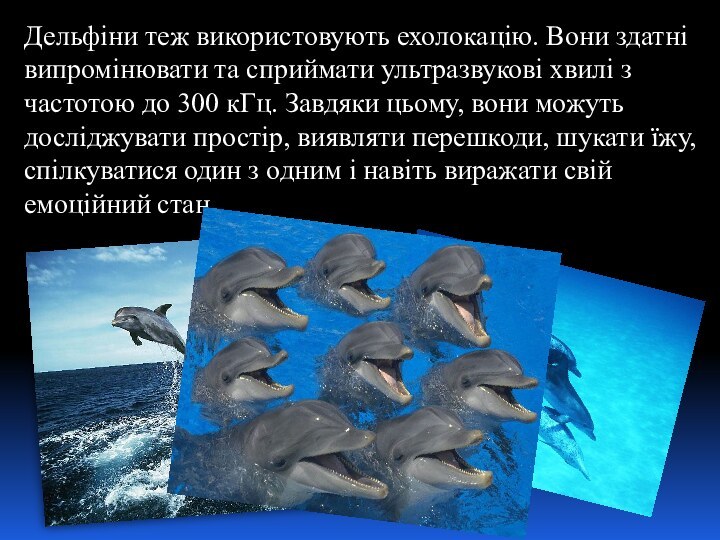 Дельфіни теж використовують ехолокацію. Вони здатні випромінювати та сприймати ультразвукові хвилі з частотою до