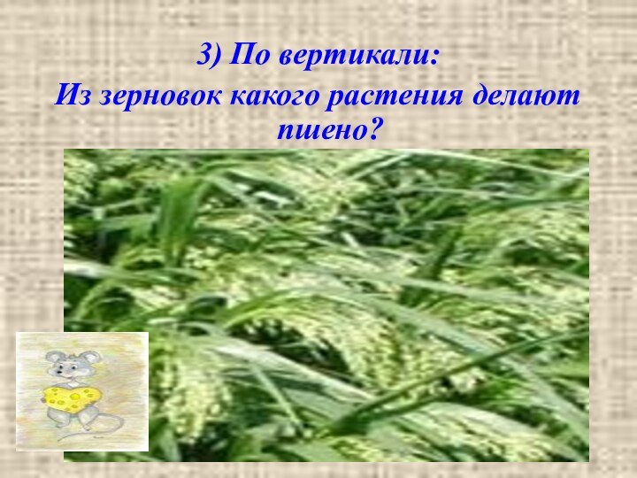 3) По вертикали:Из зерновок какого растения делают пшено?